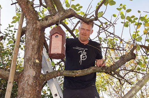 Projektpate Stefan Volk beim Anbringen der Nistkästen
