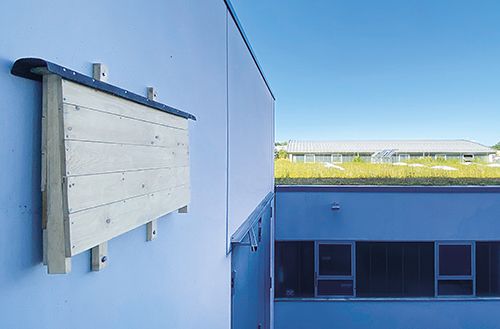 Fledermauskasten auf dem Firmengelände der ISO-Chemie